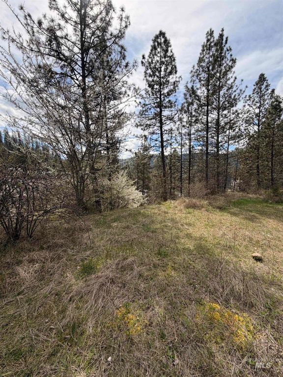 TBD Carlisle Ct Lots 11 & 15, Kamiah, ID 83536 photo 13
