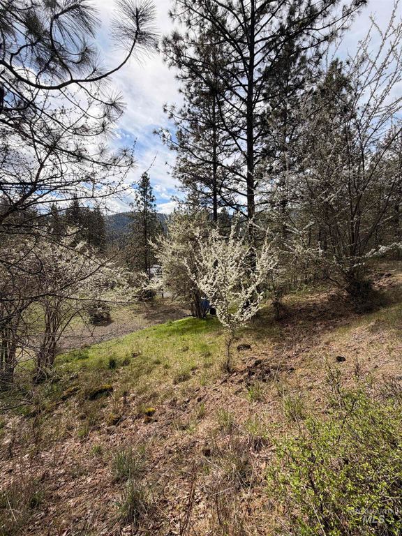 TBD Carlisle Ct Lots 11 & 15, Kamiah, ID 83536 photo 14