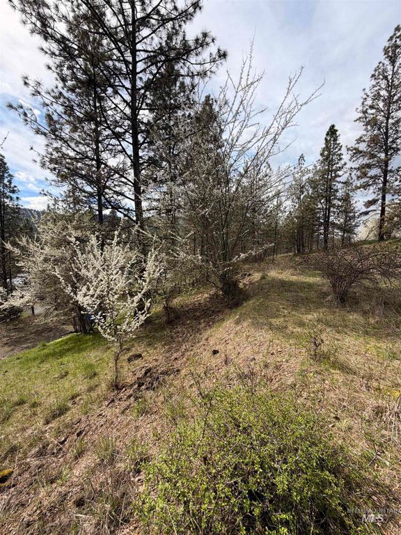 TBD Carlisle Ct Lots 11 & 15, Kamiah, ID 83536 photo 15