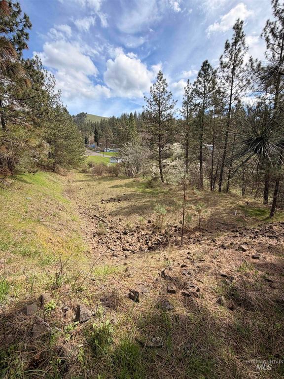 TBD Carlisle Ct Lots 11 & 15, Kamiah, ID 83536 photo 3