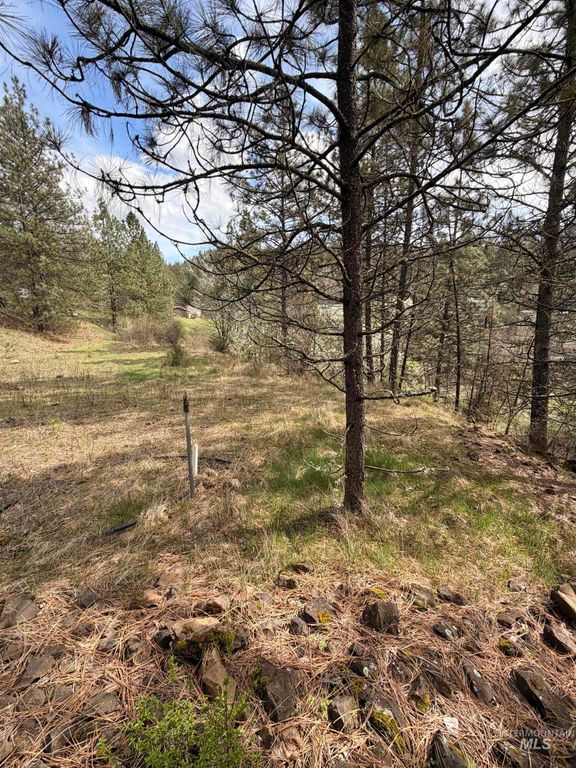 TBD Carlisle Ct Lots 11 & 15, Kamiah, ID 83536 photo 5