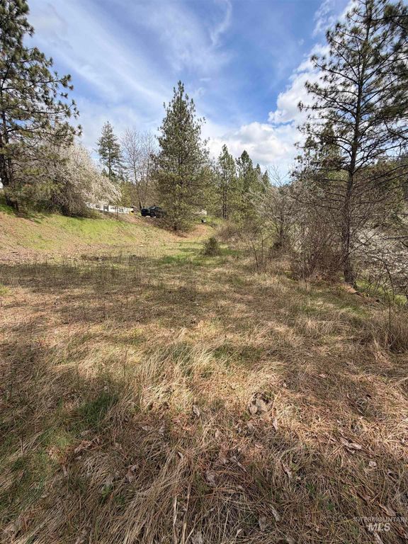 TBD Carlisle Ct Lots 11 & 15, Kamiah, ID 83536 photo 6