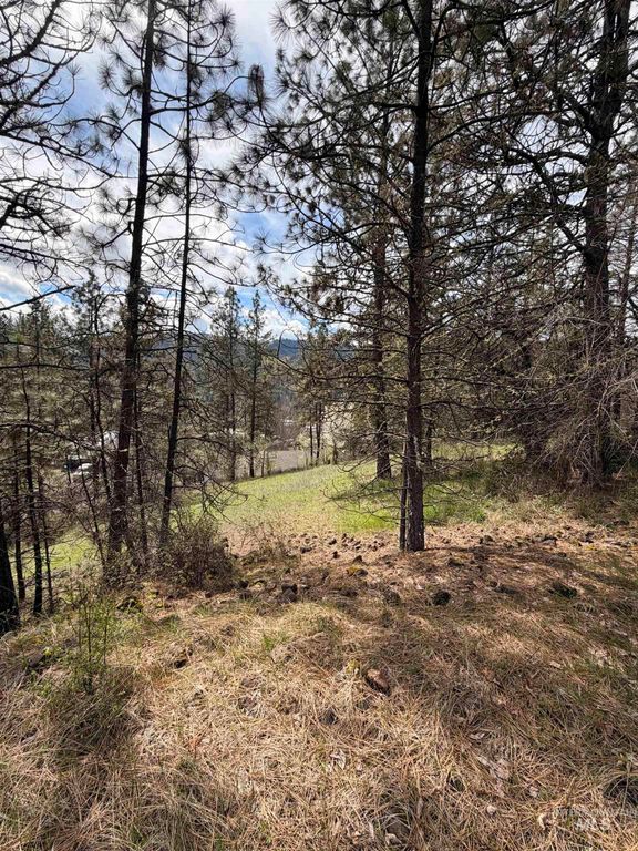 TBD Carlisle Ct Lots 11 & 15, Kamiah, ID 83536 photo 7
