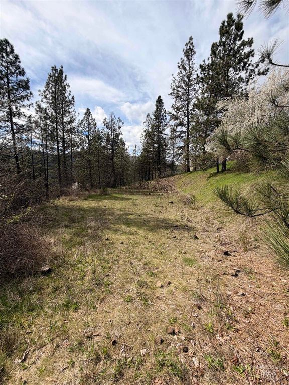 TBD Carlisle Ct Lots 11 & 15, Kamiah, ID 83536 photo 8