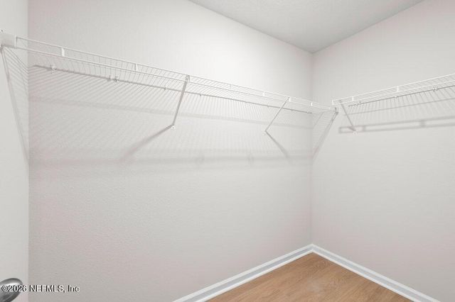 1303 PANGOLA Drive, Jacksonville, FL 32205