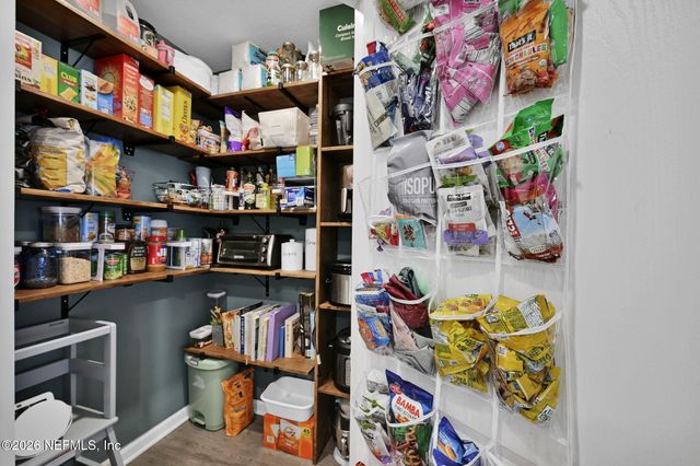 2931 DUCK HOLLOW Lane, Green Cove Springs, FL 32043