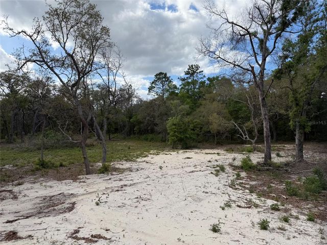 10671 NE 75TH STREET, Bronson, FL 32621