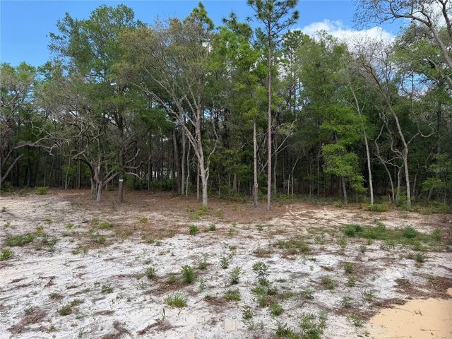 10671 NE 75TH STREET, Bronson, FL 32621