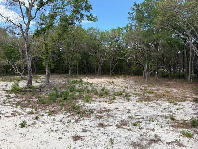 10671 NE 75TH STREET, Bronson, FL 32621