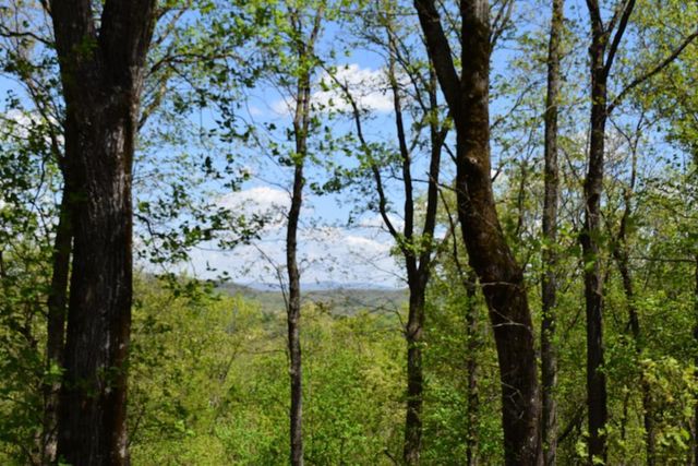 Lot 190 Hawks Nest Court, Ellijay, GA 30536