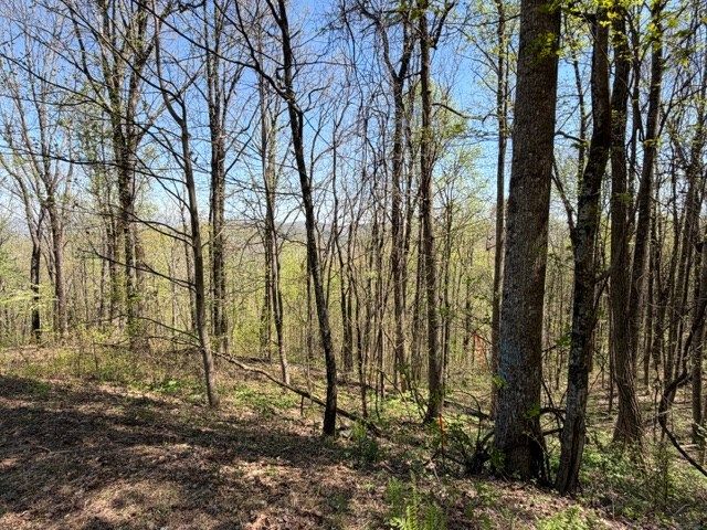Lot 190 Hawks Nest Court, Ellijay, GA 30536