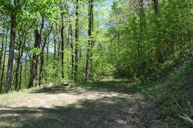 Lot 190 Hawks Nest Court, Ellijay, GA 30536