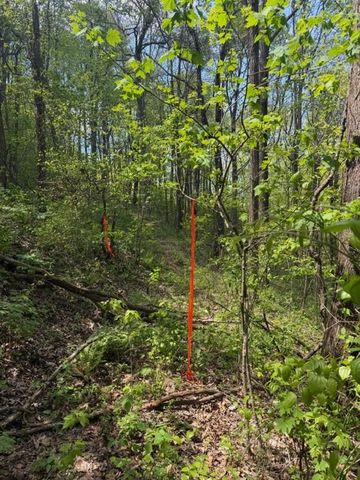Lot 190 Hawks Nest Court, Ellijay, GA 30536