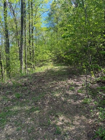 Lot 190 Hawks Nest Court, Ellijay, GA 30536