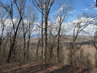 Lot 190 Hawks Nest Court, Ellijay, GA 30536