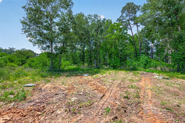 16497 Highline Boulevard, Conroe, TX 77306