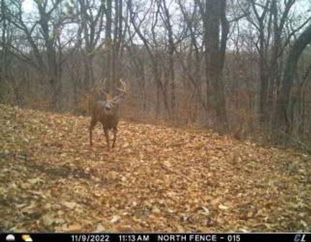 V Road, Weston, MO 64098