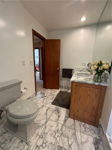 10548 Briar Hill Drive, Kirtland, OH 44094