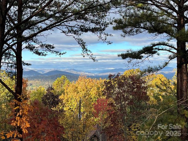 105 Avondale Heights Road, Asheville, NC 28803