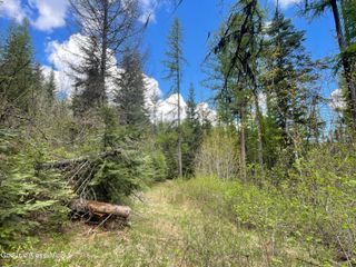 NKA Old Railroad Grade, Plummer, ID 83851