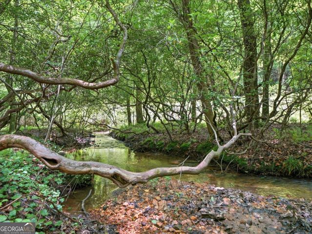 167 Mangums Trail, Blue Ridge, GA 30513