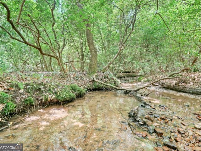 167 Mangums Trail, Blue Ridge, GA 30513