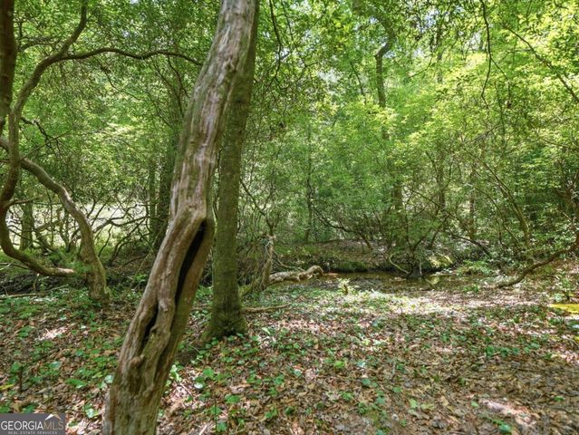167 Mangums Trail, Blue Ridge, GA 30513