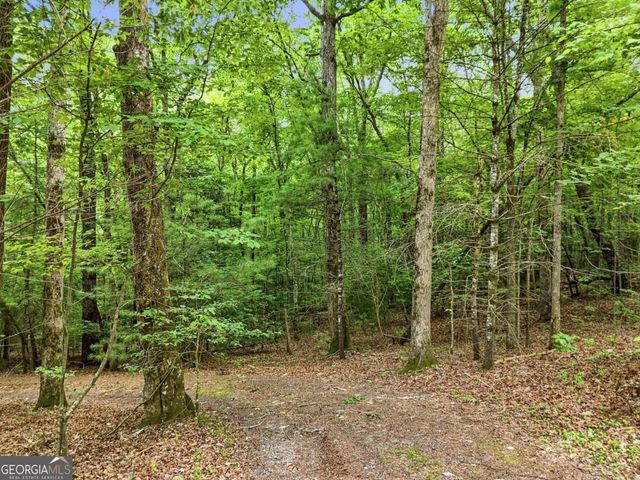 167 Mangums Trail, Blue Ridge, GA 30513