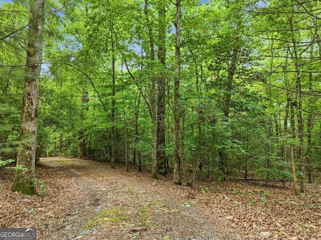 167 Mangums Trail, Blue Ridge, GA 30513