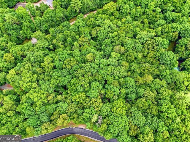 167 Mangums Trail, Blue Ridge, GA 30513
