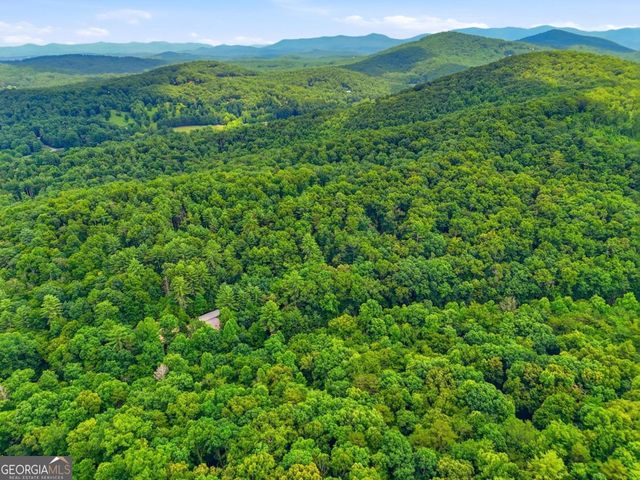 167 Mangums Trail, Blue Ridge, GA 30513