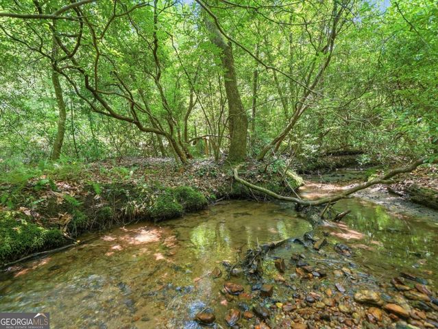 167 Mangums Trail, Blue Ridge, GA 30513
