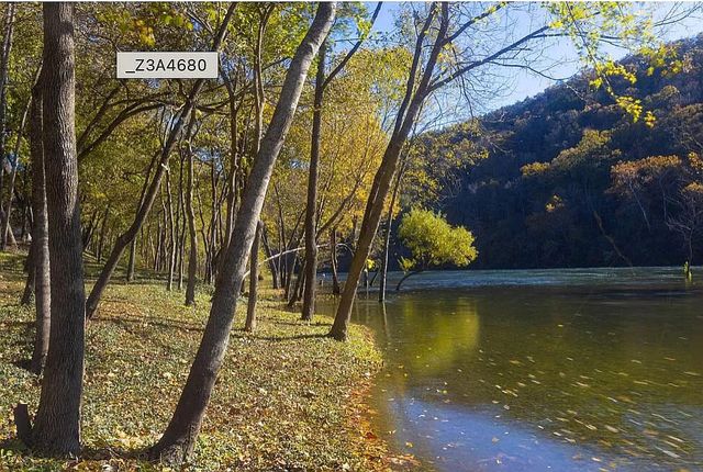 149 The Bluffs 6, Branson, MO 65616