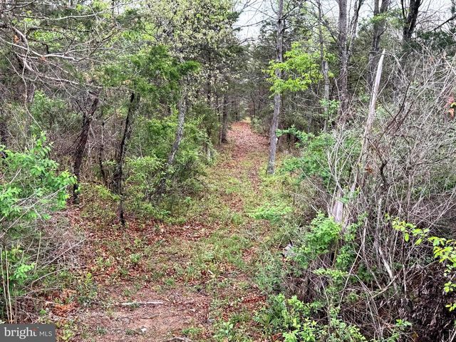 7.4 AC. MOUNTAIN FALLS RD, Winchester, VA 22602