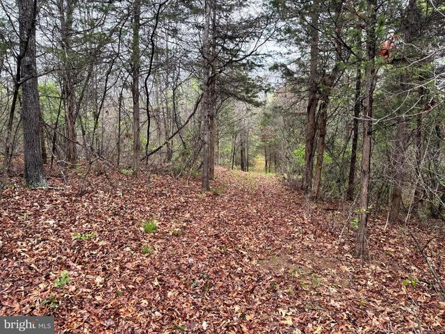 7.4 AC. MOUNTAIN FALLS RD, Winchester, VA 22602