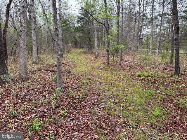 7.4 AC. MOUNTAIN FALLS RD, Winchester, VA 22602