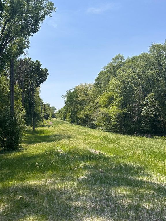 TBD Pullman Avenue, Saint Paul Park, MN 55071 — photo 2