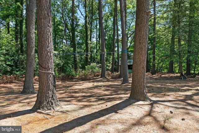 36851 OLD MILL BRIDGE RD, Selbyville, DE 19975