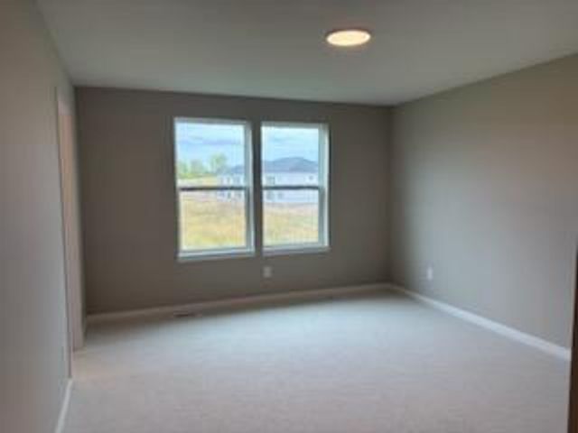 6377 Isle Avenue S, Cottage Grove, MN 55016