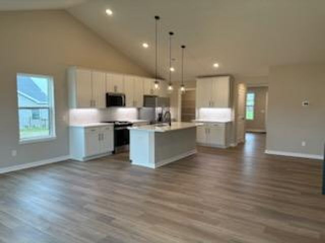 6377 Isle Avenue S, Cottage Grove, MN 55016