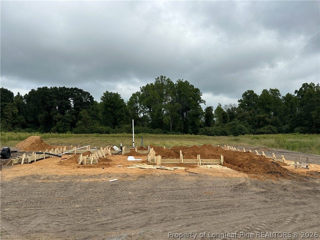 104 Rolands Ridge (Lot 5) Road, Autryville, NC 28318 — photo 4