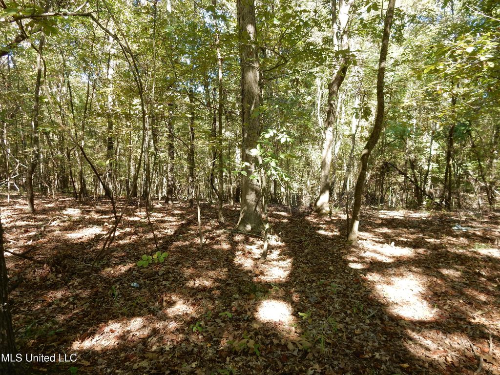 Lot 1 N Crockett Road, Senatobia, MS 38668 — photo 2