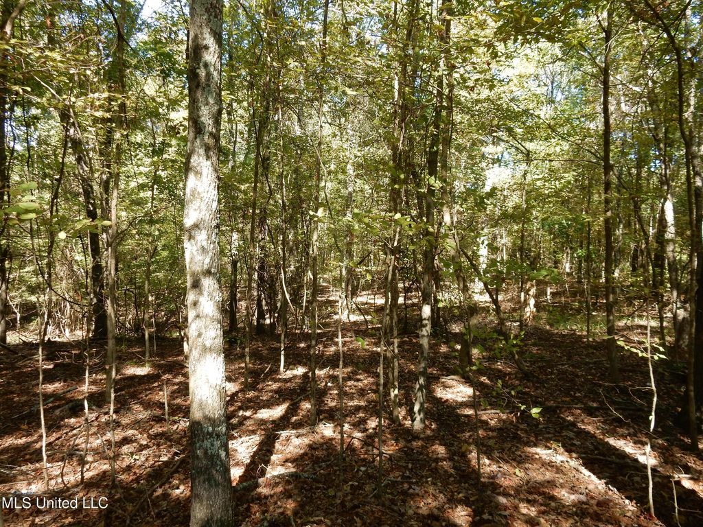 Lot 1 N Crockett Road, Senatobia, MS 38668 — photo 3
