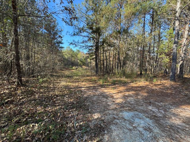 1151 Buckhead Road, Tignall, GA 30668