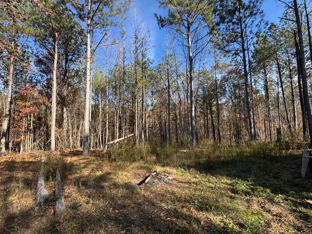 1151 Buckhead Road, Tignall, GA 30668