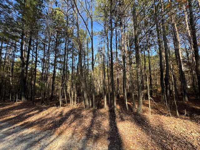 1151 Buckhead Road, Tignall, GA 30668