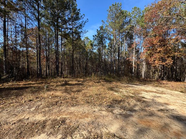 1151 Buckhead Road, Tignall, GA 30668