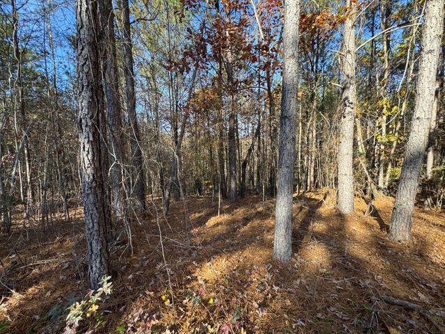 1151 Buckhead Road, Tignall, GA 30668