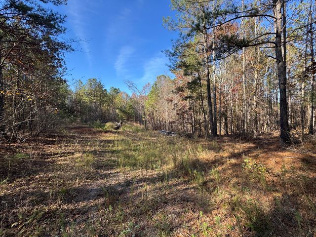 1151 Buckhead Road, Tignall, GA 30668