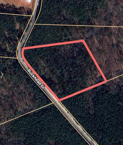 1151 Buckhead Road, Tignall, GA 30668